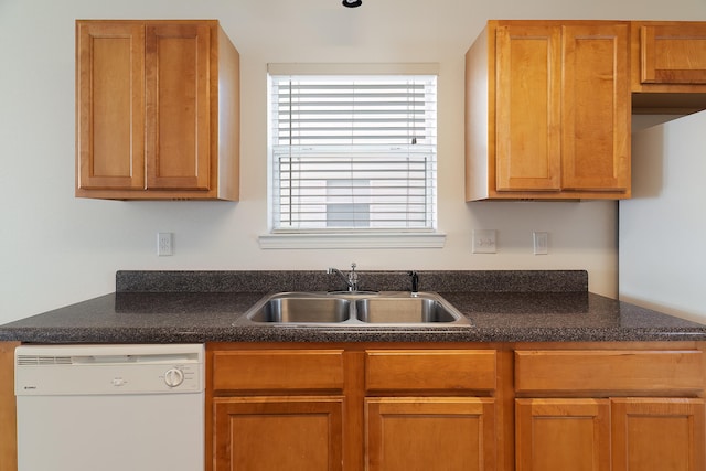 kitchen featuring dishwasher and sink