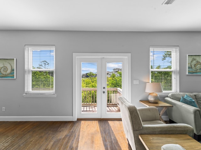 doorway with wood-type flooring, french doors, and plenty of natural light