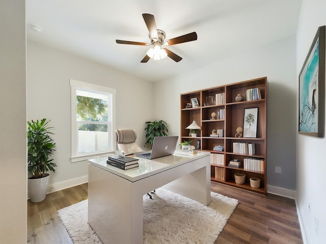 office featuring ceiling fan and dark hardwood / wood-style flooring