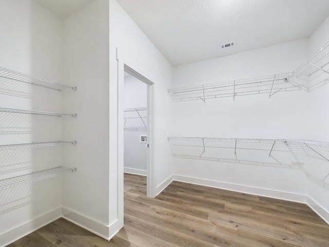 walk in closet with wood-type flooring