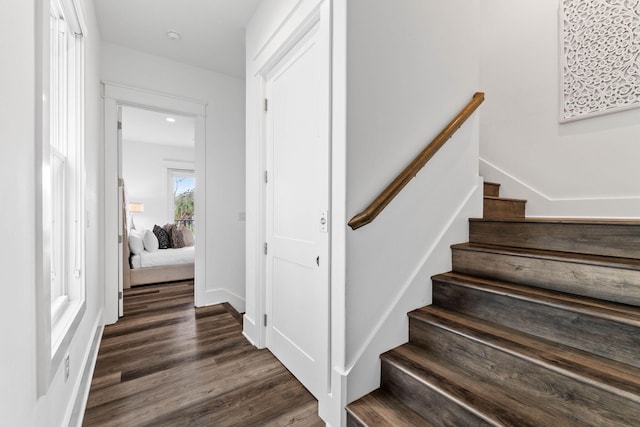 stairs with hardwood / wood-style flooring