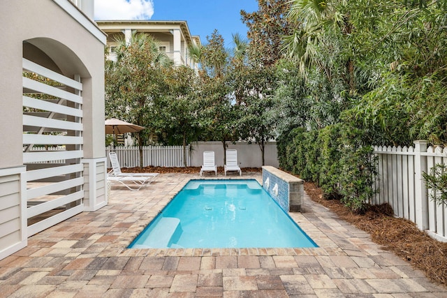 view of swimming pool with a patio area