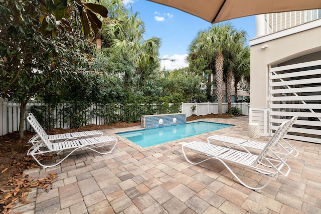 view of pool featuring a patio area