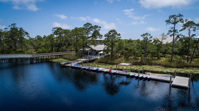 water view featuring a dock