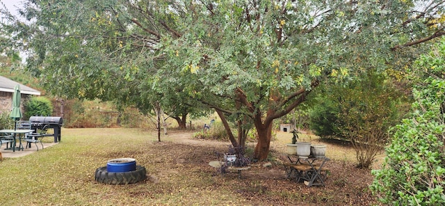 view of yard with a patio area