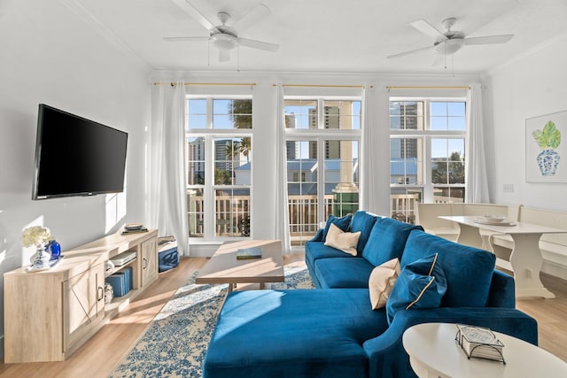 living room featuring light wood-type flooring, a wealth of natural light, and crown molding