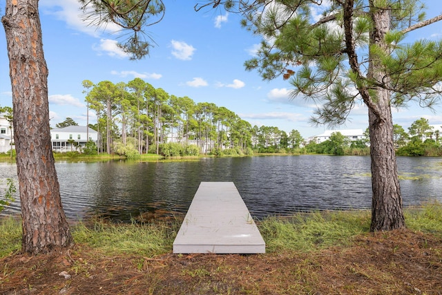 dock area featuring a water view