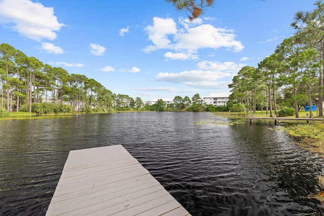 view of dock with a water view