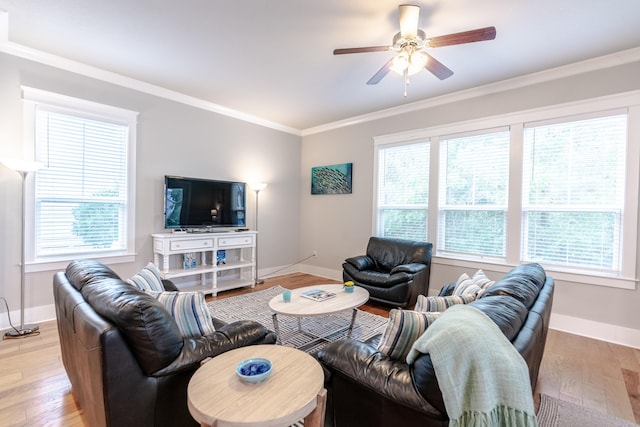 living room with ceiling fan, ornamental molding, and light hardwood / wood-style flooring