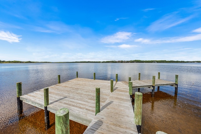 dock area featuring a water view