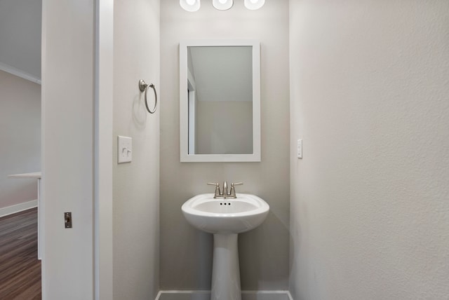 bathroom featuring wood-type flooring