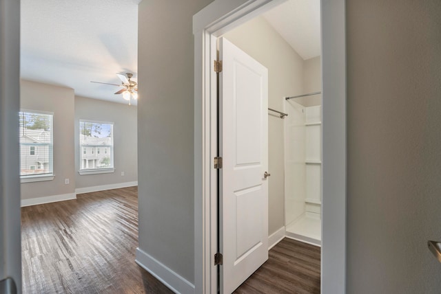 hall with dark hardwood / wood-style floors