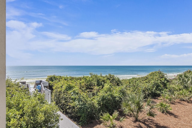 view of water feature with a beach view