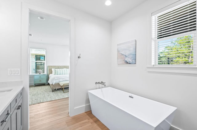 bathroom featuring a tub, wood-type flooring, and vanity