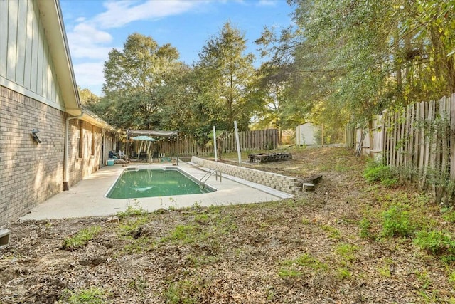 view of swimming pool with a patio area and a shed