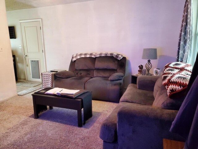50 Junior Dr, Shalimar, FL 32579 - view of carpeted living room
