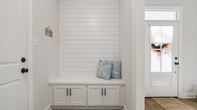 mudroom featuring a healthy amount of sunlight and dark hardwood / wood-style floors