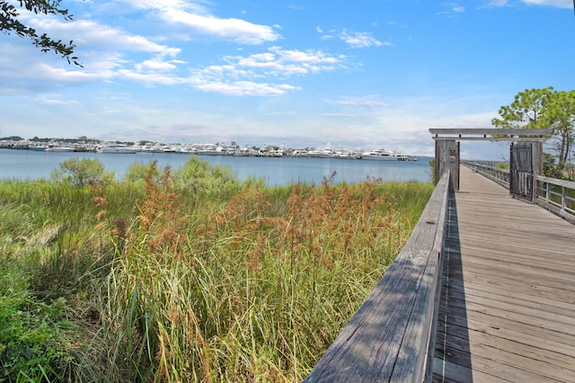 property view of water