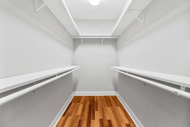 walk in closet featuring hardwood / wood-style floors