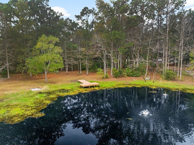 view of yard with a water view