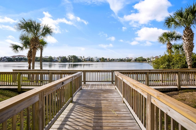 dock area with a water view