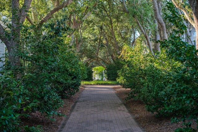 105 Carillon Market St Ste 302, Panama City Beach, FL 32413 - view of surrounding community