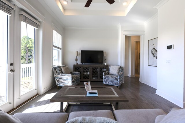 living room featuring a wealth of natural light, ceiling fan, dark hardwood / wood-style flooring, and a tray ceiling