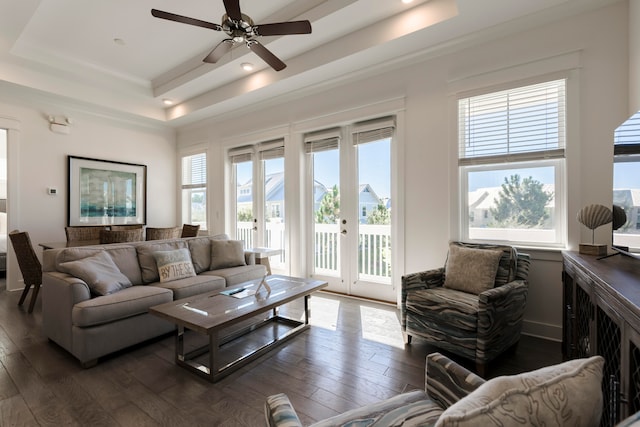 living room featuring french doors, a healthy amount of sunlight, a raised ceiling, and dark hardwood / wood-style floors