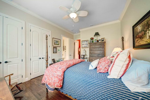 bedroom featuring dark hardwood / wood-style flooring, multiple closets, crown molding, and ceiling fan