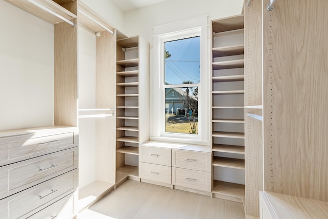 view of spacious closet