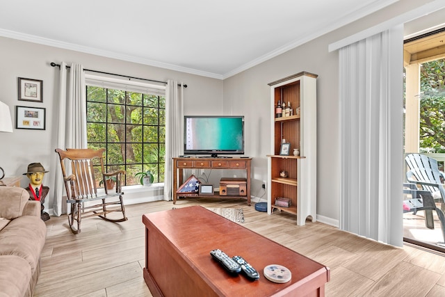 living room featuring ornamental molding and light hardwood / wood-style flooring