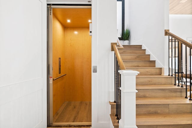 staircase with elevator and hardwood / wood-style flooring