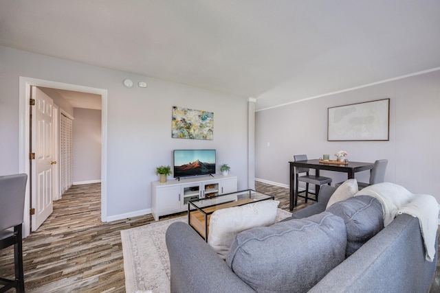 living room with hardwood / wood-style flooring