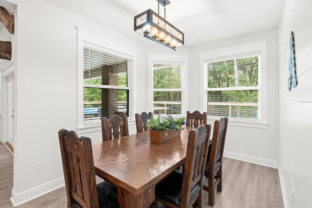 dining room featuring a chandelier and light hardwood / wood-style flooring