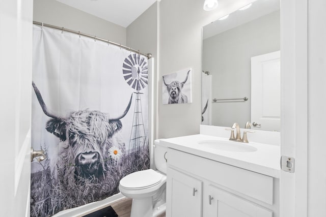 bathroom with vanity, hardwood / wood-style flooring, and toilet