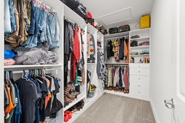 walk in closet with light carpet