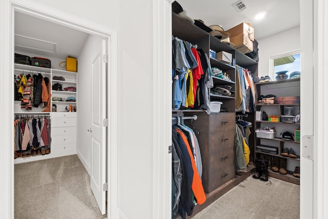 spacious closet with light carpet