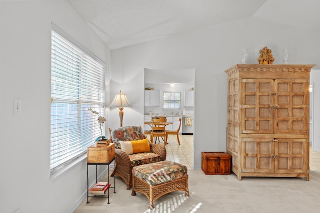 living area with light carpet and lofted ceiling