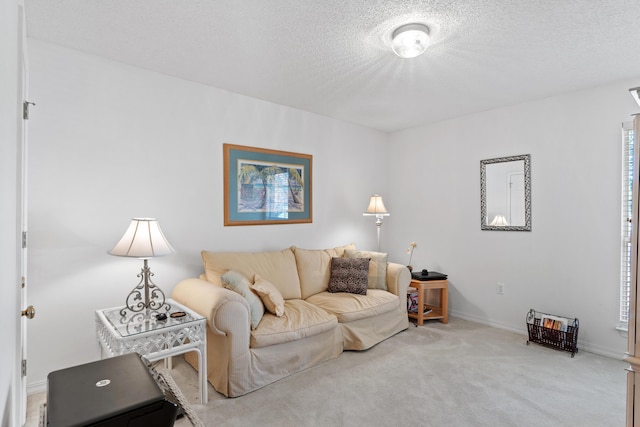 living room with carpet flooring and a textured ceiling