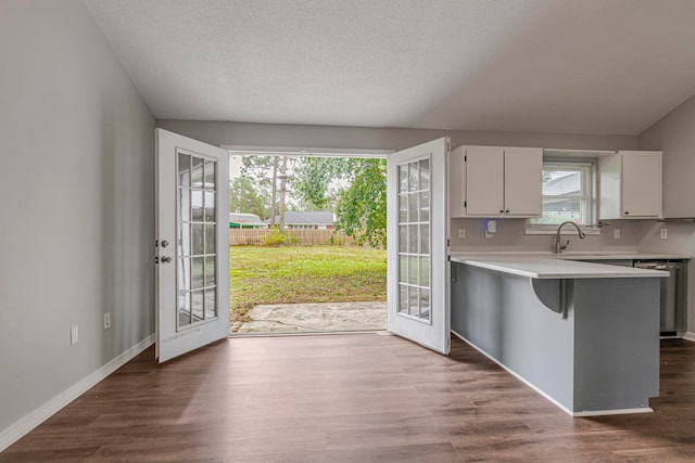 doorway featuring dark wood-type flooring, sink, and a healthy amount of sunlight