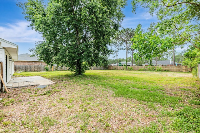 view of yard featuring a patio area