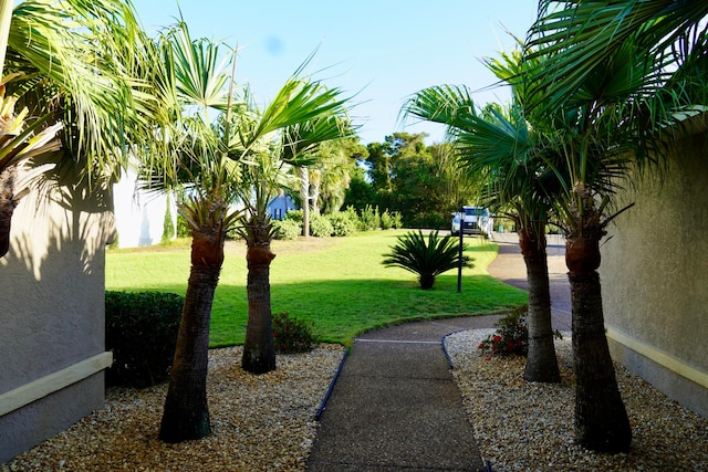 view of property's community with a lawn