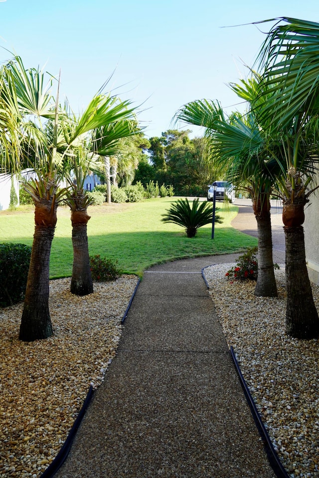 view of community with a lawn