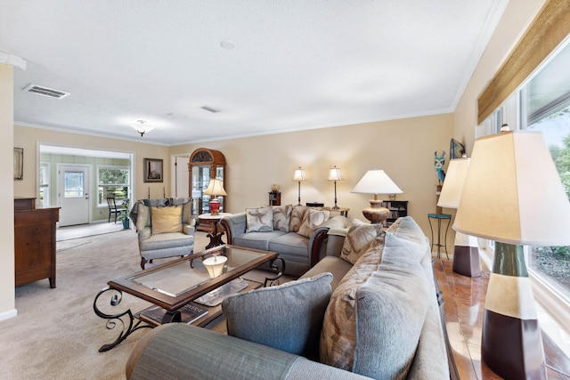 carpeted living room with crown molding and a textured ceiling