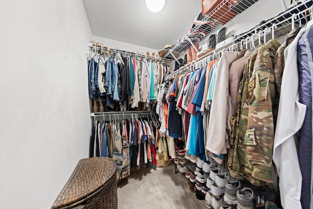 spacious closet featuring carpet flooring