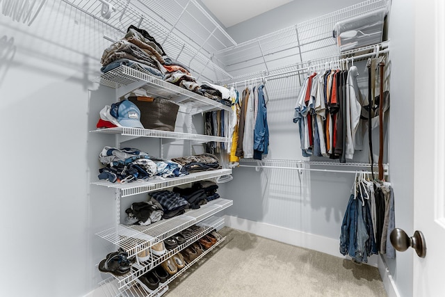 walk in closet with carpet flooring