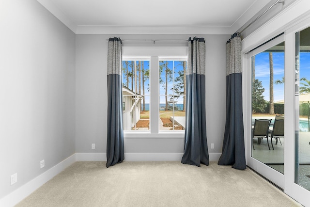 spare room with carpet, crown molding, and baseboards