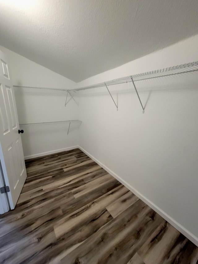 spacious closet with dark hardwood / wood-style floors