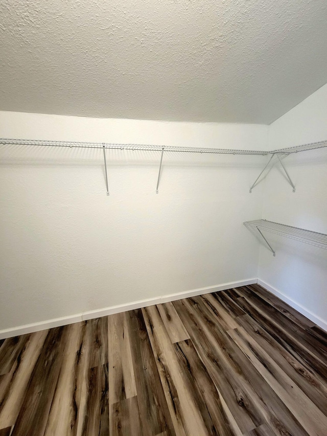 walk in closet with dark hardwood / wood-style flooring