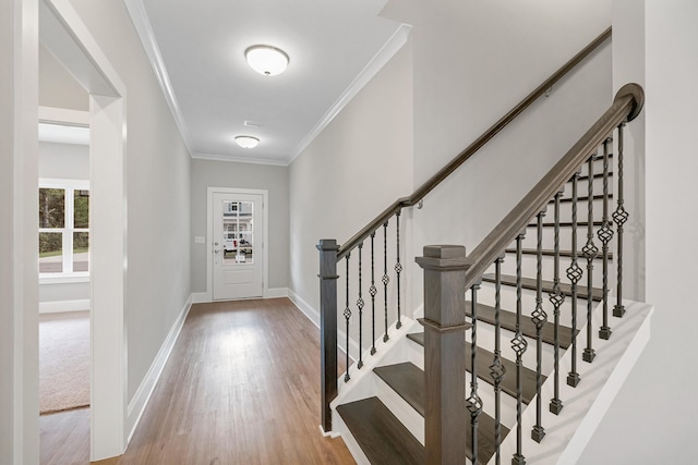 foyer featuring wood-type flooring and crown molding